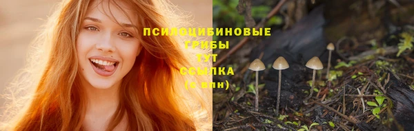 соль ск Куйбышев