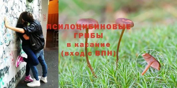 соль ск Куйбышев