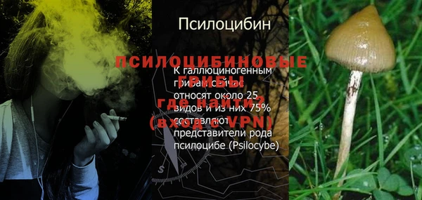 стафф Лагань