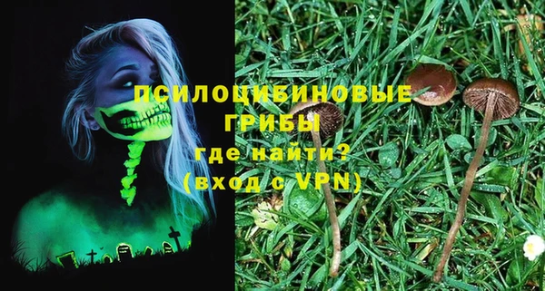 ECSTASY Кукмор
