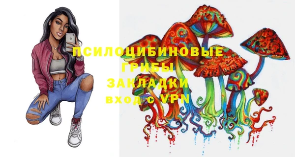 соль ск Куйбышев
