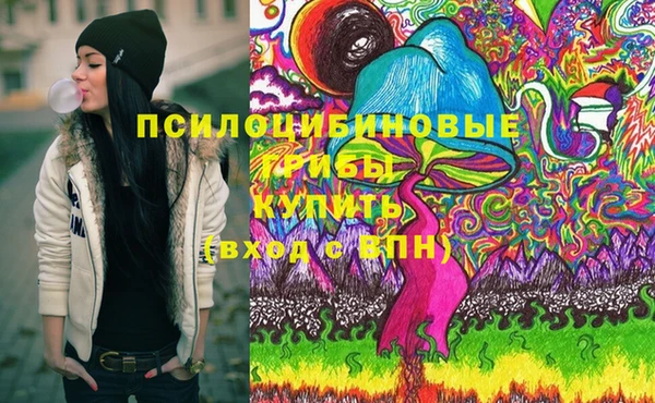 МДПВ Кулебаки